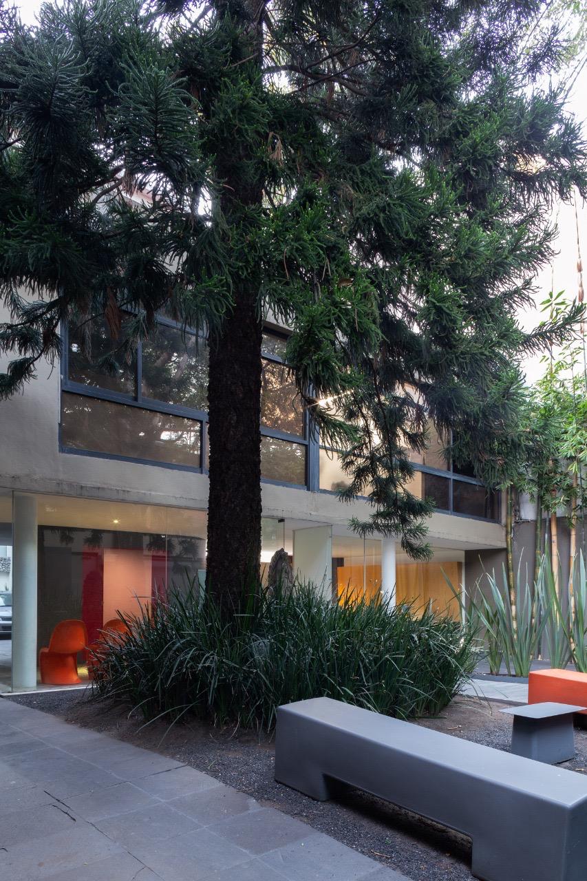 Patio arbolado de las oficinas Zenttre